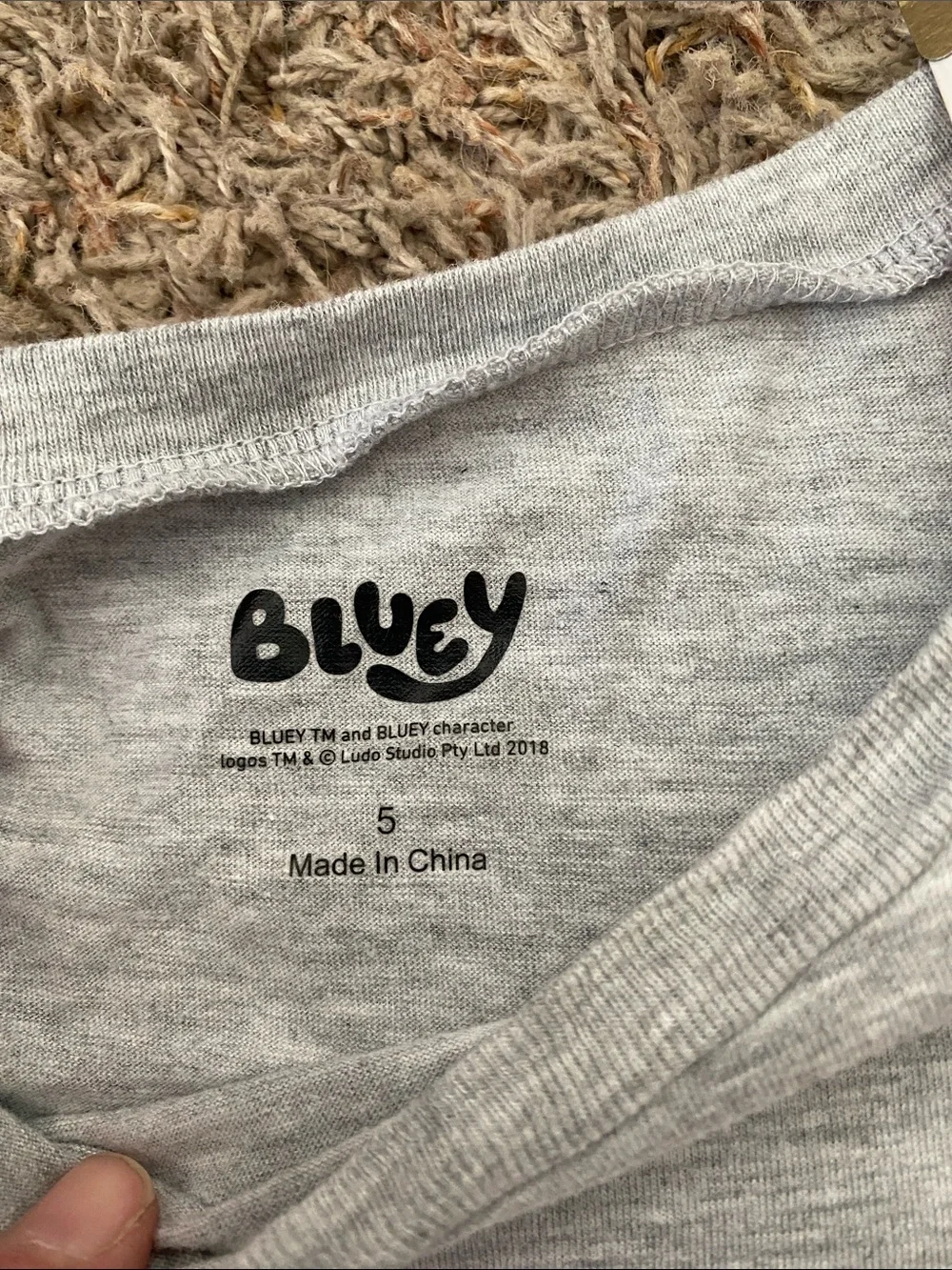 Kids Grey Bluey Graphic Tee - Grey/5